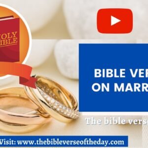 Bible Verse On Marriage -  Bible Verses About Marriage With Prayers - Bible Verses On Marriage