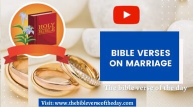 Bible Verse On Marriage -  Bible Verses About Marriage With Prayers - Bible Verses On Marriage