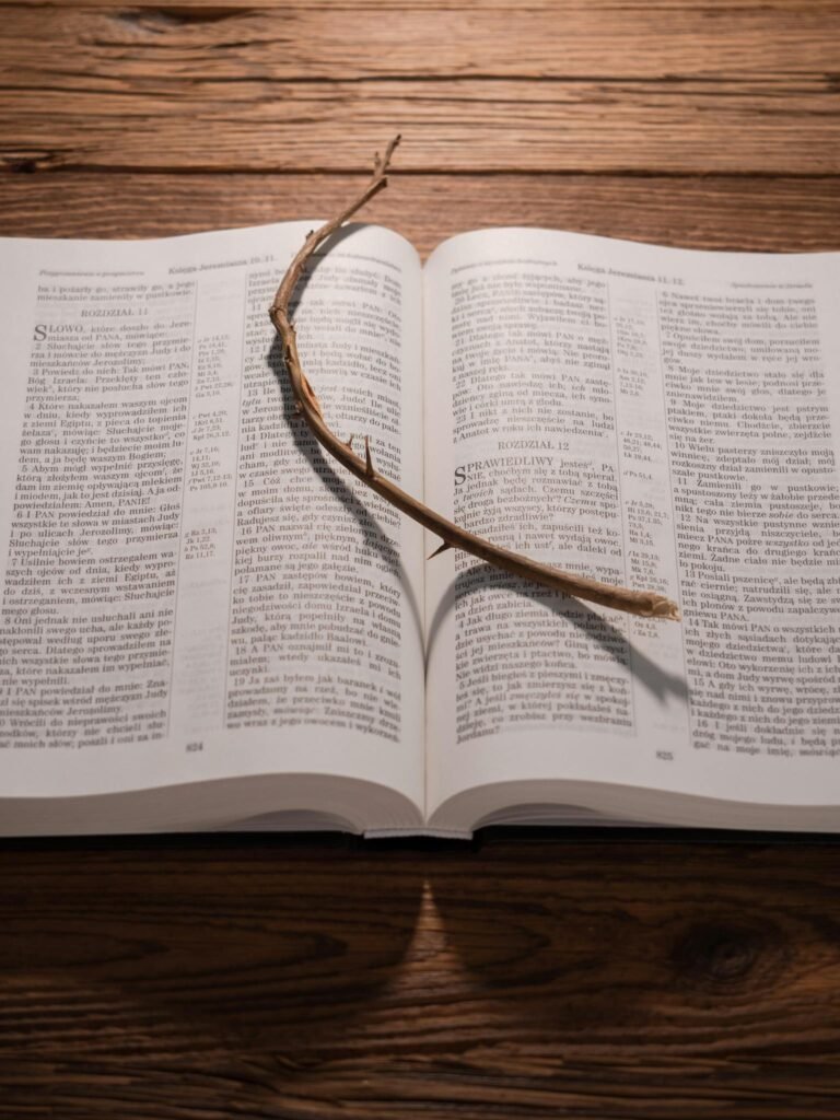 An Opened Bible with a Stick with Thorns Lying on a Wooden Background 